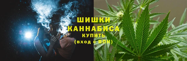 крисы Медвежьегорск