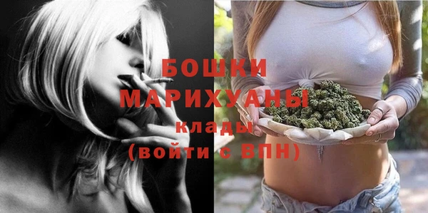 СК Михайлов
