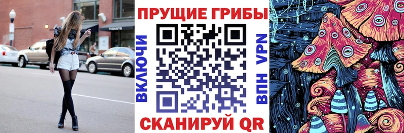как найти закладки  Шарыпово  блэк спрут tor  Псилоцибиновые грибы прущие грибы 